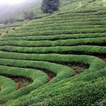 26세女 그동안 내가 혼자 한것들 총정리