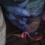 사진有)<b>구구콘</b> 시르다