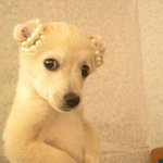 ★엄빠주의★  <b>썸녀</b> 속마음을 모르겠어요