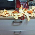 사진 有)  ★ 친구와 귤껍질 말리기 배틀 ★