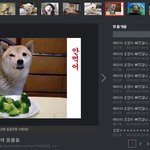 판포토의 <b>센스</b>돋는 댓글들ㅋㅋㅋㅋㅋㅋㅋㅋ
