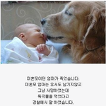 <b>심심</b>할 때 보면 재미있거나......15