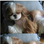 <b>우와</b>~~ 개미녀다
