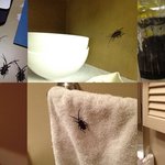 엄마 <b>생신날</b> 남동생이 만든 하나밖에 없는 생일케익!