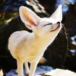 오늘 그냥 당신이 무심코 보는 이야기 [29]