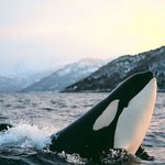 오늘 그냥 당신이 무심코 보는 이야기 [마지막]