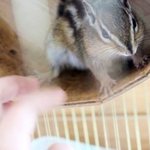 ★뒷★북★죄송해요ㅠㅠ