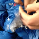 제친구 <b>노스</b> 800 이 찢어졋어요 !! ㅠ