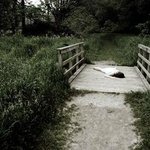 <b>심심</b>할 때 보면 재미있거나......27