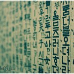 <b>심심</b>할 때 보면 재미있거나......30