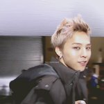 지디 머리 스포 有