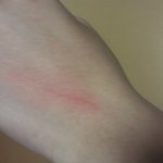 (후기) 남자친구와 친구를 만나고 왔습니다.