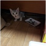 안녕하세요~ 저희집 갈치를 소개합니다 'ㅅ'