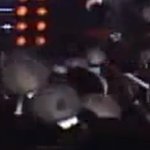 <b>사진o</b>) 로즈봉 <b>사진</b>- 뒷북이면 죄송......