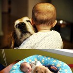 심심할 때 보면 재미있거나......33