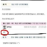 19금 <b>착시</b>사진 조호수보소