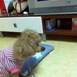 <b>울집</b> 막내 귀염둥이를 소개합니다~~♥(스압주위)