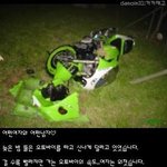 혼자보기 아까운 이야기들5(<b>출처</b>는 내미니홈피)