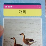 ★★★★★★★<b>개리</b>의실체다★★★★★★★★
