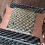 호피<b>무늬</b> 하면 이사람들은 어쩌라고...