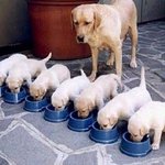 심심할 때 보면 재미있거나......38