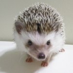 패션사이트의 영향을 받아서 <b>무난</b>하게 입지만 믹스매칭 하고 말꺼임