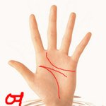 ▣▣▣간단한 손금보는 법 5탄▣▣▣
