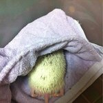 말썽꾸러긔 ㅋㅋㅋ
