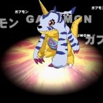 우리 <b>파피</b>가 진화를 안합니다...