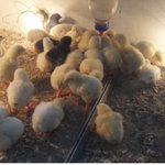 날 설레게 했던 어린이집 선생님의 손