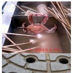 <b>오전</b>에 열심히 일했으니 놀아볼까?