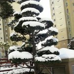 (사진有)★★우리는 카트타고 학교간다 ★★