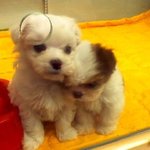 해품달 시청중...후다닥인증..5분후 <b>자삭</b>할께요..