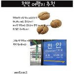 천안에는 <b>호두</b>과자만 있는게 아닙니다!!