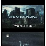 인류<b>멸망</b> 후 모습