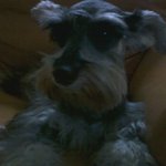 ★★★★★★사진 多多有 신선하고 기분좋은 개판 클릭~~~! ★★★★★★★★★★★