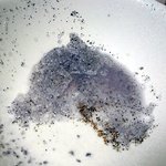 블루베리 스무디 갈아 마시다가......