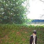 키 183도안대면 ㄷㅊ자 얘들아