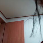 고슴도치가머리카락머것어여(사진有)