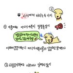 우리강아지에게 바라는것 4가지
