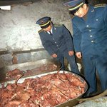 <b>심심</b>할때 보면 재미있거나......41