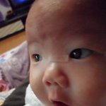 우리 동생을 소개합니다