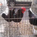 ★☆  친구랑 청계천 다녀옴 ㅋㅅㅋ [사진 有]