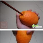 ★★★흔한대륙의손재주.jpg★★★