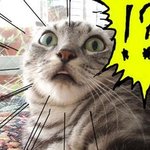 ♥♡★☆111111독서실에서 만나 슬리퍼를 건네준 오빠111111☆★♡♥