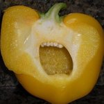 ★★★지구 속 숨어있는 외계인 <b>종족</b>★★★