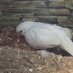 여러분의 힘이 필요해요! 대형마트의 <b>동물</b> 방치!!(사진有)☆★☆★☆★