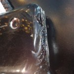 ★＊*＊☆아이스크림처럼 녹은 <b>내</b><b>폰</b>^^☆＊*＊★