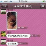 ★★★(사진有)고th리된 <b>흔</b><b>녀</b>들의 키우고있는 동물 배틀떳어요!ㅋㅋㅋㅋㅋㅋㅋ★★★