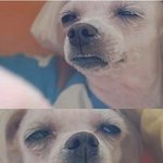 몰래 우체국가서 나한테 초코렛보내고 와야지